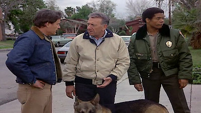 Quincy, M.E. Season 7 Episode 23