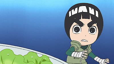 Naruto Spin-Off: Rock Lee & His Ninja Pals Season 1 Episode 28