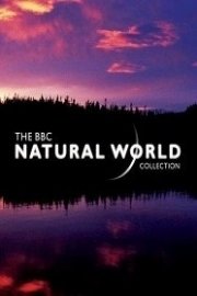 BBC Natural World Collection