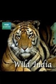 Wild India (Land of the Tigers)