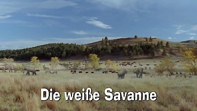 Wild New World Season 1 Episode 2