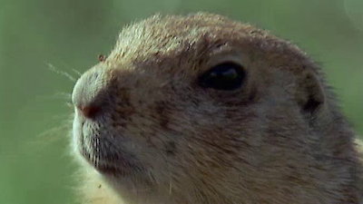 Wild New World Season 1 Episode 5