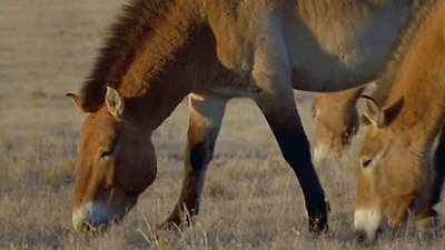 Wild New World Season 1 Episode 6