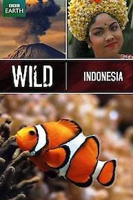 Wild Indonesia (BBC Earth)