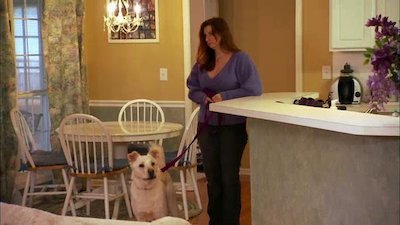 It's Me or the Dog Season 2 Episode 15