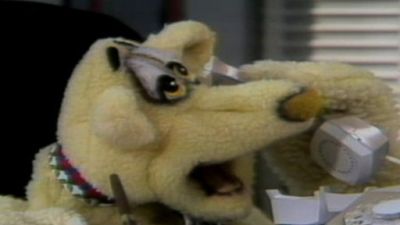 The Shari Show Season 1 Episode 6