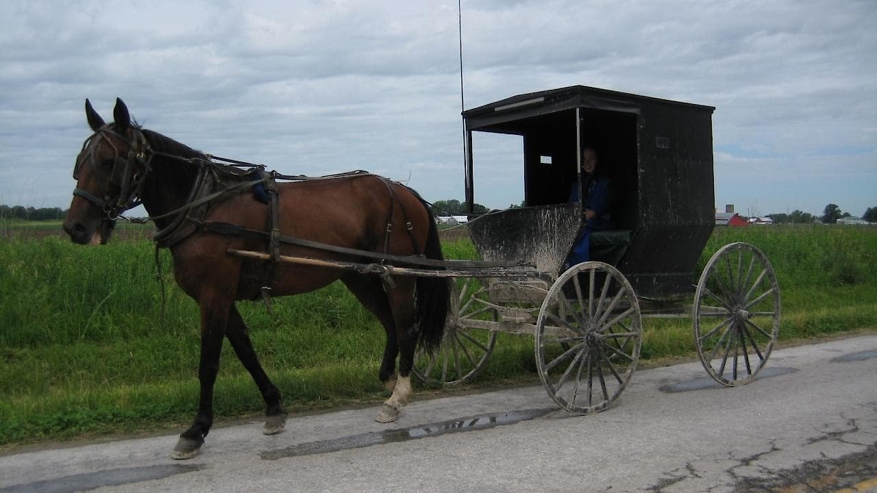 Amish: Out of Order
