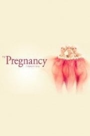 My Pregnancy: A Woman's Story