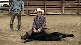 Cattle Rancher