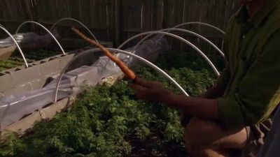 Chefs A'Field Season 1 Episode 4