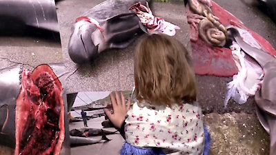 Whale Wars: Viking Shores Season 1 Episode 3