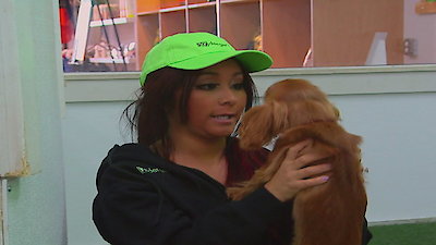 Snooki & JWOWW Season 1 Episode 6