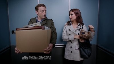 Animal Practice Season 1 Episode 1