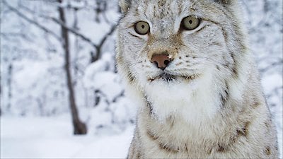 Trading Spaces Season 4 Episode 44