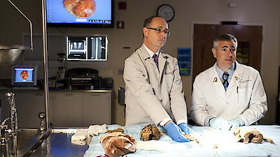 The Weight of the Nation Season 1 Episode 11