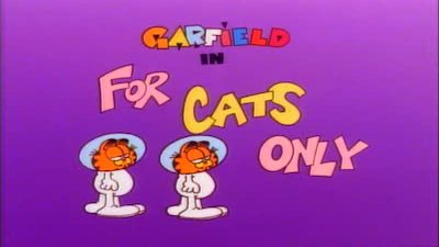 Garfield and Friends Season 3 Episode 316