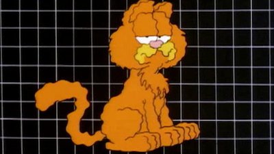 Garfield and Friends Season 5 Episode 12