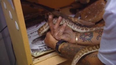 Aussie Animal Rescue Season 1 Episode 3