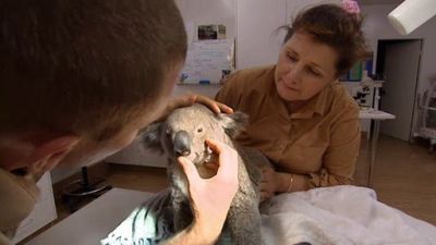 Aussie Animal Rescue Season 2 Episode 5