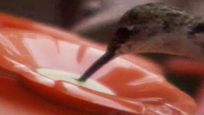 What Were You Thinking Season 1 Episode 9