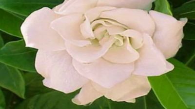 What Were You Thinking Season 1 Episode 12