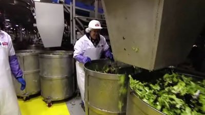 Undercover Boss Australia Season 2 Episode 6