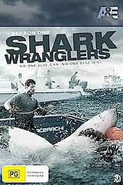 Shark Wranglers
