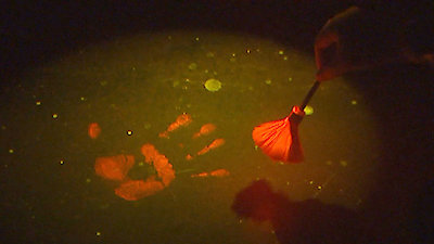 Forensic Firsts Season 1 Episode 2