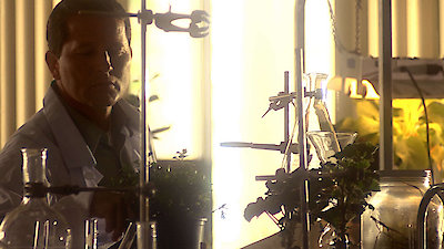 Forensic Firsts Season 2 Episode 6