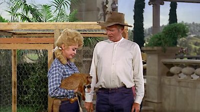The Beverly Hillbillies Season 4 Episode 2