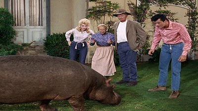 The Beverly Hillbillies Season 5 Episode 26