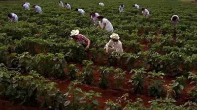 Abismo de Pasión Season 1 Episode 36