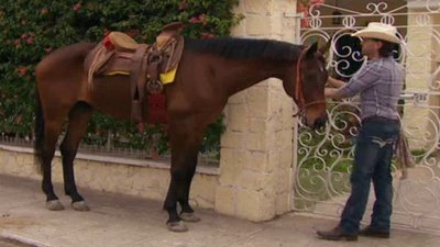 Abismo de Pasión Season 1 Episode 82