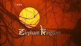 Elephant Kingdom