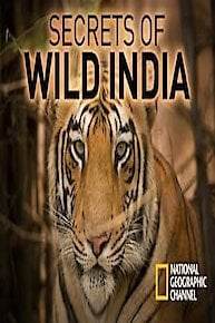 Secrets of Wild India