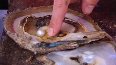 Surfing the Menu Season 1 Episode 2