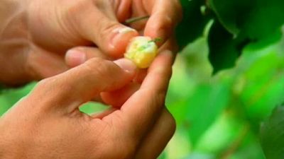 Surfing the Menu Season 2 Episode 3