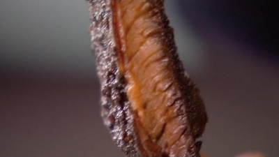 Roadtrip With G. Garvin Season 3 Episode 2