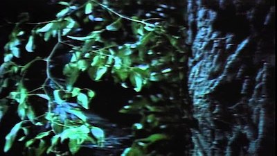 Dark Shadows (1991) Season 24 Episode 12
