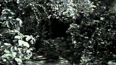 Dark Shadows (1991) Season 2 Episode 273