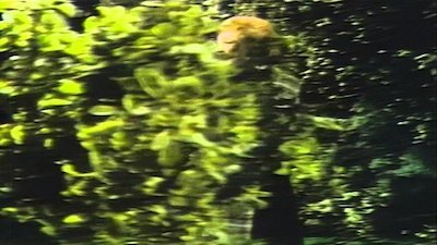 Dark Shadows (1991) Season 12 Episode 673