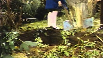 Dark Shadows (1991) Season 12 Episode 660