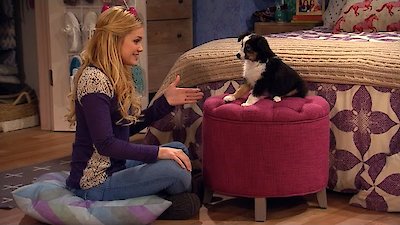 I Didn't Do It Season 3 Episode 3