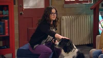 I Didn't Do It Season 3 Episode 5