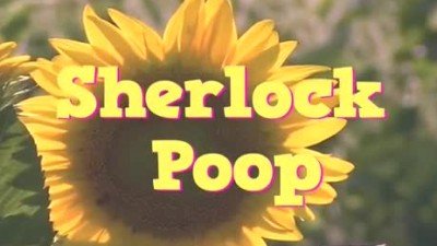 Here Comes Honey Boo Boo Season 3 Episode 11