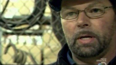 American Loggers Season 1 Episode 4