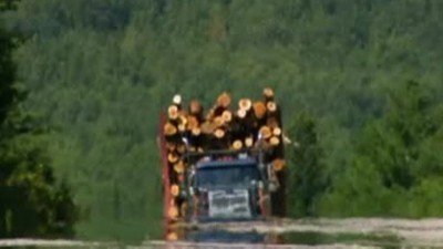 American Loggers Season 2 Episode 1