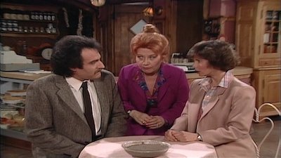 Facts of Life Season 5 Episode 24