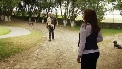 Amor Bravio Season 1 Episode 31