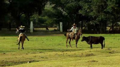 Amor Bravio Season 1 Episode 54